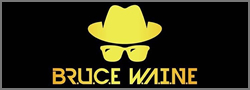 bruce waine